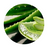 Aloe Vera Extract