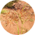 100% Cyperus Rotundus